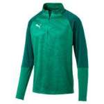 CUP Training 1/4 Zip T Cor