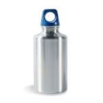 Stainless Bottle 300