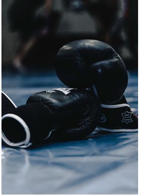 Boxhandschuhe