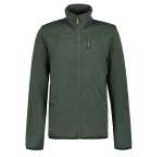 ICEPEAK BERTHOLD