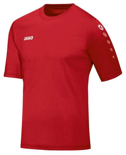 Trikot Team KA K - Bild 1