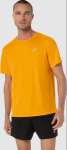 ASICS CORE SS TOP