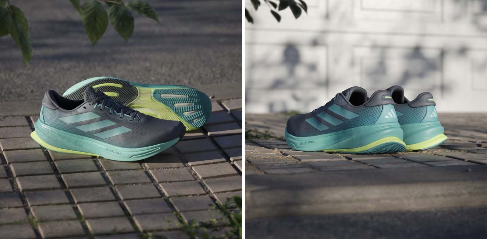 SUPERNOVA RISE 2 M