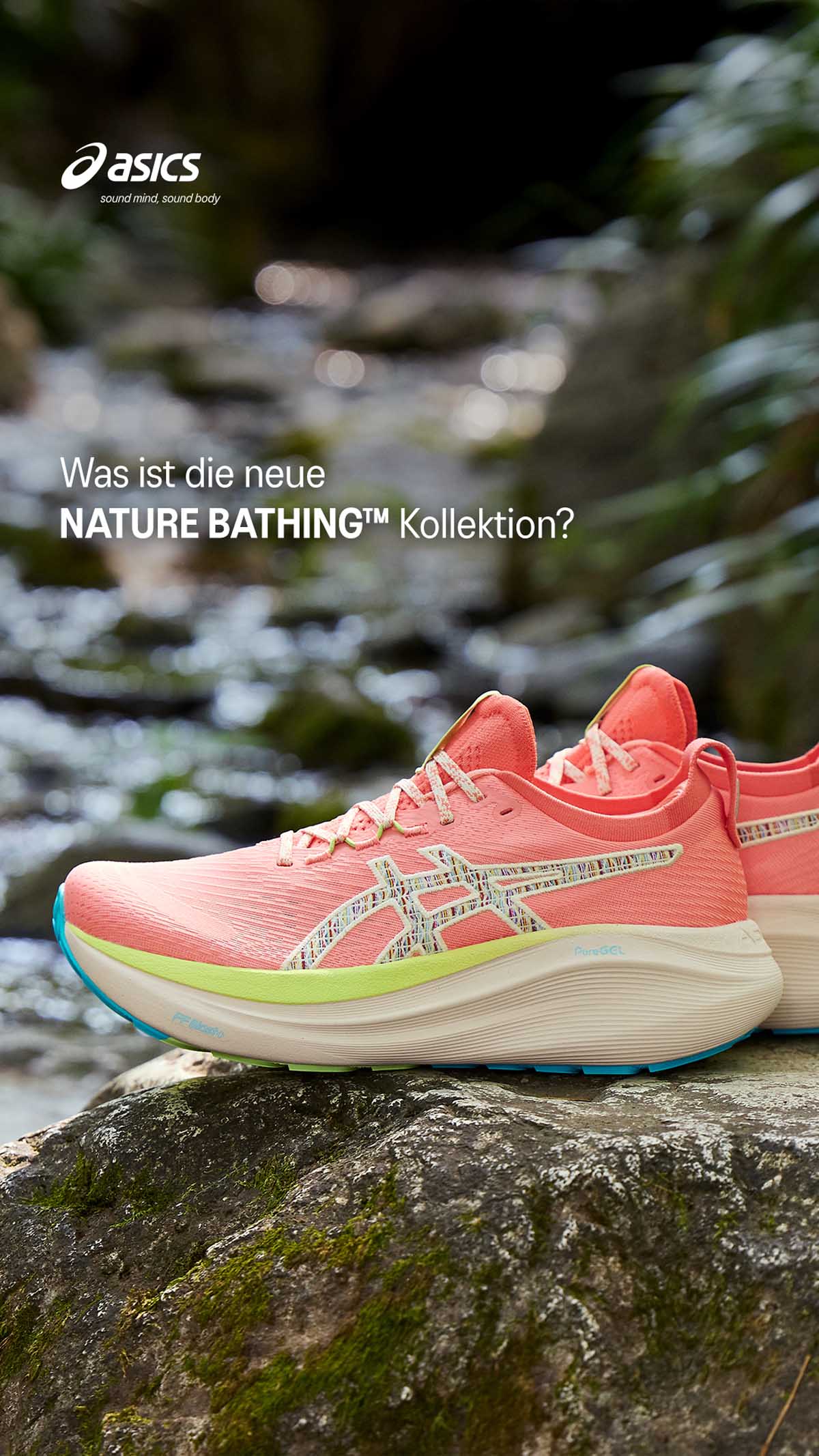GEL-NIMBUS 27 TR