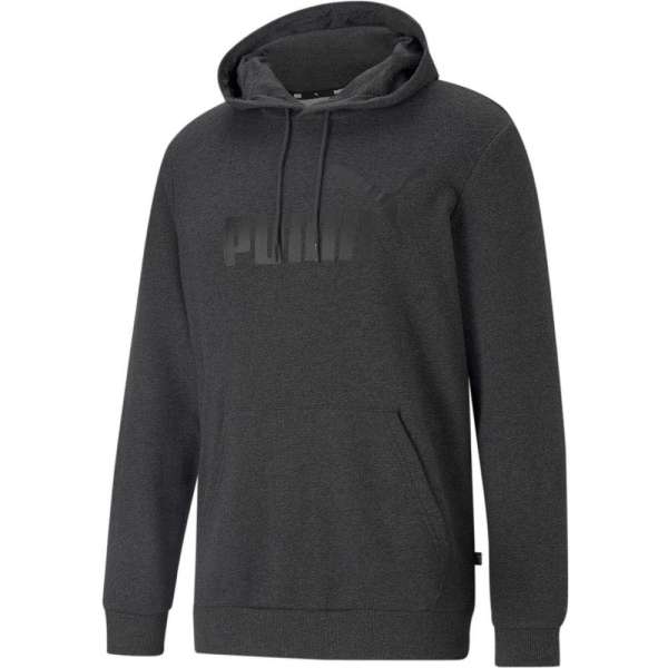 ESS Big Logo Hoodie