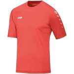Trikot Team KA