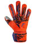 Attrakt Starter Solid Finger S