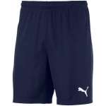 teamGOAL 23 knit Shorts